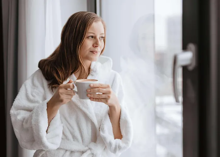 杜塞尔多夫中心区美居酒店 3* 杜塞尔多夫